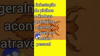 🪳COMO ACABAR com PIOLHOS e LÊNDEAS em 2 DIAS [upl. by Restivo]