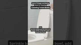 Naturally Clean Your Toilet Bowl with Baking Soda and Vinegar [upl. by Atalante964]