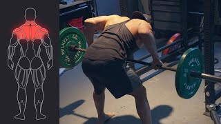 Wide Grip Barbell Row [upl. by Pinebrook]