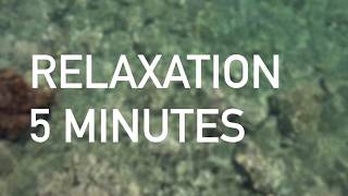 Relaxation guidée en 5 minutes ⟡ Ginkgo [upl. by Aggappe]