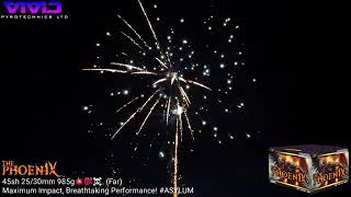 ✨️NEW 2024✨️ PHOENIX Maximum Impact Breathtaking Performance fireworks vividpyrotechnics [upl. by Itsyrk]