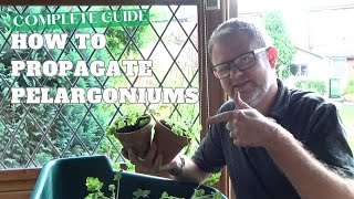 Complete Guide on Taking Pelargonium Cuttings  How to Propagate Pelargonium  Gardening Tips [upl. by Onilatac]