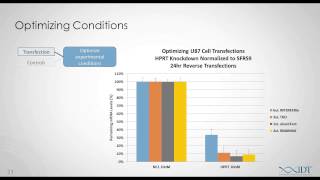 Planning and Executing In Vitro siRNA Experiments [upl. by Sisxela]