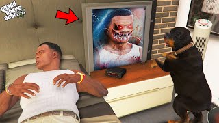 Chop Found Secret Mirror Inside Franklins Room In Gta 5 [upl. by Dempster]