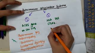 21 4 autoimmune polyglandular syndrome mp4  ENDOCRINE [upl. by Ennael]