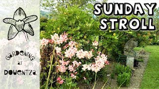 Sunday Stroll Thru Douentza Garden amp May Gardening Chat [upl. by Soalokin]