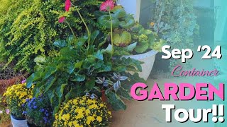 September 24 Container Garden Tour New Fall Containers gardentour [upl. by Areis]