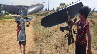 Enjoy Flying Kites at the Rice Field – A Fun Outdoor Adventure [upl. by Nosrac]