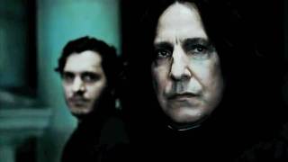 Severus Snape Tribute [upl. by Ahteres]