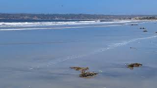 Pacific Ocean Coronado Beach San Diego California 🇺🇸 [upl. by Irahs]