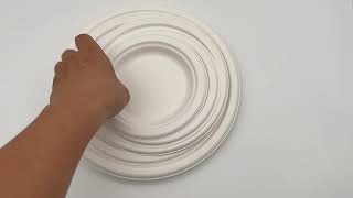 Biodegradable Plates [upl. by Arednaxela]