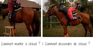 Comment monter a cheval  Descendre de cheval [upl. by Ceil]