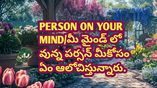 💯❤️PERSON ON YOUR MINDమీ మైండ్ లో వున్న పర్సన్ మీకోసం ఏం ఆలోచిస్తున్నారు [upl. by Farmer]