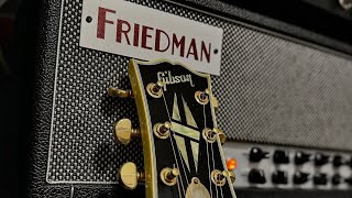 Friedman Twin Sister high gain NO TALKING [upl. by Tronna295]