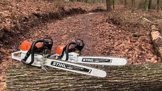 Stihl Ms 462 r cm vs Stihl Ms 362 r cm [upl. by Gerome]