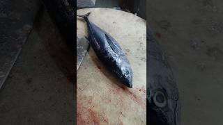 Big tuna fish cutting slice master shorts video [upl. by Llevra]