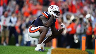 Auburn Football  Rivaldo Fairweather Touchdown Catch [upl. by Leventis595]