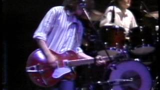 The Grapes of Wrath Live at the Amnesty International Benefit1988 [upl. by Eugenio]