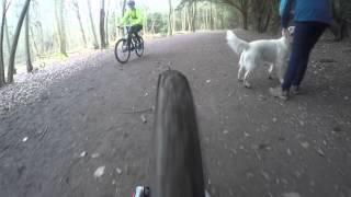 Downhill Mountain Biking Wendover Woods [upl. by Egerton780]