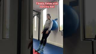 Tibialis Raises with Stability Ball [upl. by Llerrit]