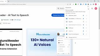 Using a TTS Reader Chrome Extension in Moodle [upl. by Weissmann]