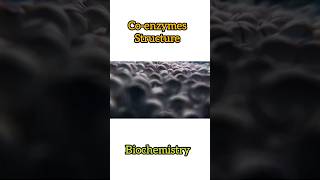 Coenzymes Structure and Biological Functions biochemistry shorts ytshorts bpharmacy [upl. by Vary]