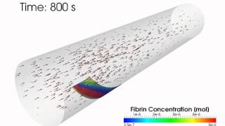 Blood Flow Coagulation Process  CFD OpenFOAM® simulation [upl. by Arev179]