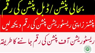 Money after Restoration of Pension  ریسٹوریشن آف پنشن پر کتنی رقم  Method to know Money of Pension [upl. by Latsryc]