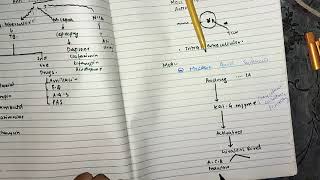 Anti Mycobacteria part 1 chemopharma katzung lippincot pharmacology [upl. by Hcelemile]