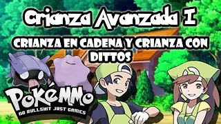 PokéMMO Guía de Crianza Avanzada  Parte I Crianza en Cadena  Dittos [upl. by Hgieliak78]