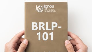 BRLP101 internship workbook and viva solution IGNOUbrlps bbrl bba retailing mcom bcom [upl. by Gonick]