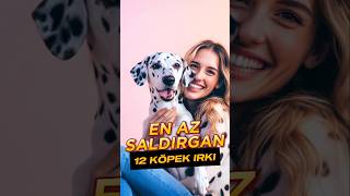 Dünyanın En Az Saldırgan 12 Köpek Irkı 🐕‍🦺🐾 köpekeğitimi [upl. by Lawlor]