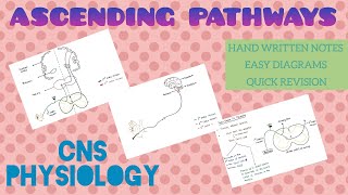 Ascending Pathways  1  CNS  Physiology [upl. by Elleirol]