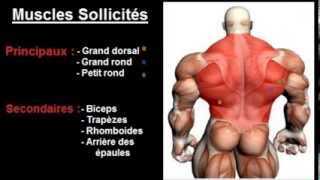 Exercice musculation Dos  quot Traction pronation quot [upl. by Schulein]