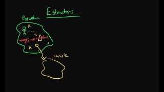 Estimators  the basics [upl. by Riplex]