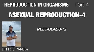 ASEXUAL REPRODUCTION4  REPRODUCTION IN ORGANISMS PART4  NEET  CLASS12  Dr Ramesh Panda [upl. by Noeht794]