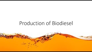 Chem Help  Production of Biodiesel [upl. by Coe]