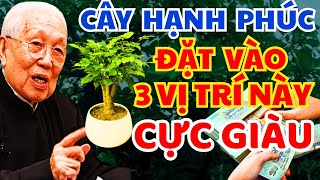 Đặt Cây Hạnh Phúc Vào 3 Vị Trí Này Hút Tài Lộc Tiền Bạc kèo vào Ầm Ầm Tiêu Sài 3 Đời [upl. by Hgielak]