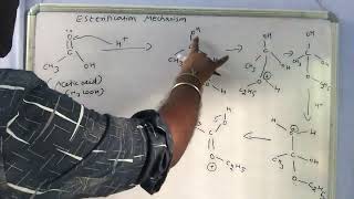 Mechanism of esterification Tamil [upl. by Bevis]