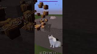 minecraft wither vs avenger bees 🤣meme shorts minecraft gaming insanemikeplayzz minecraftshort [upl. by Celeski]