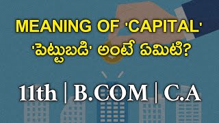 Meaning of CAPITAL in Telugu for Inter  Bcom amp CA  capital accounting vijayazmeera [upl. by Gefell]