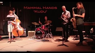 Kudu  Band Cover  Mammal Hands [upl. by Mathews]