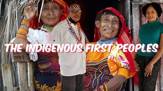 The Indigenous First Peoples of Trinidad  Trinidad Youtuber [upl. by Eecal]