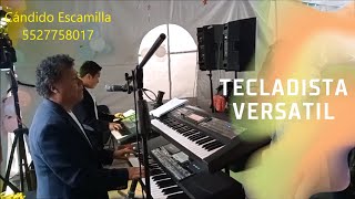 tecladistas para bailar 🎹 Tecladista Estado de México [upl. by Mindy]