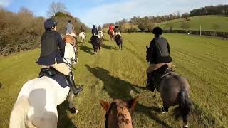 28124 hunting Rotherfield Park with the South Down Bloodhounds [upl. by Berner]