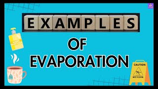 Common Examples Of Evaporation  Evaporation Around Us  Simple Examples Explained [upl. by Ediva]