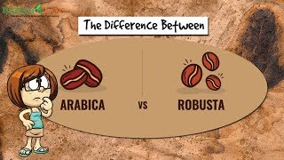 What is the Difference between Arabica amp Robusta Coffee Beans  NatureLoC Youtube [upl. by Karlen114]