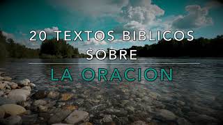 20 TEXTOS BIBLICOS SOBRE LA ORACION [upl. by Aisirtap]