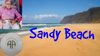 Sandy Beach  Finding and Connecting To Your Higher Power  AA Speaker [upl. by Nosbig]