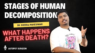 What Happens to Human Body after Death Fascinating science behind Human decomposition [upl. by Nemhauser417]